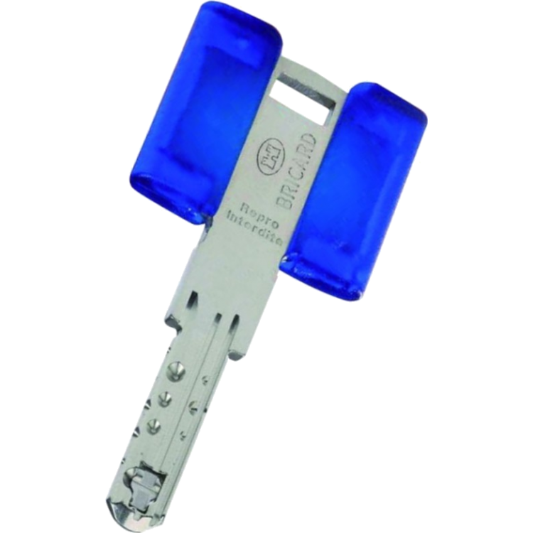 Clé Originale BRICARD® CHIFRAL S2